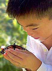 Monarch butterflies at Aquinas Montessori School